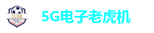 5G电子老虎机